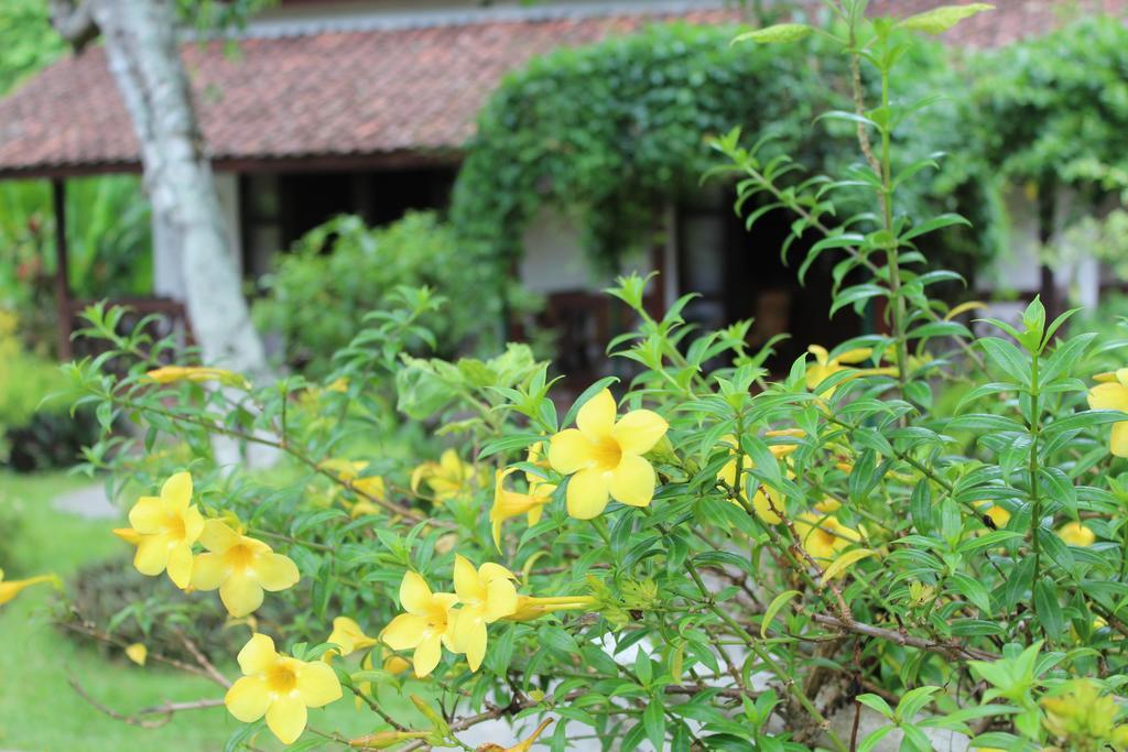 Margo Utomo Eco Resort Kalibaru Экстерьер фото