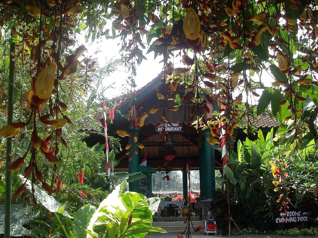 Margo Utomo Eco Resort Kalibaru Экстерьер фото