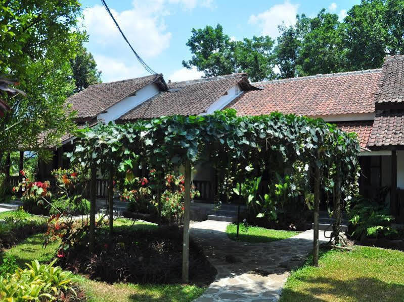 Margo Utomo Eco Resort Kalibaru Экстерьер фото